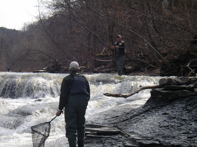 Dave has one in the fast water.jpg